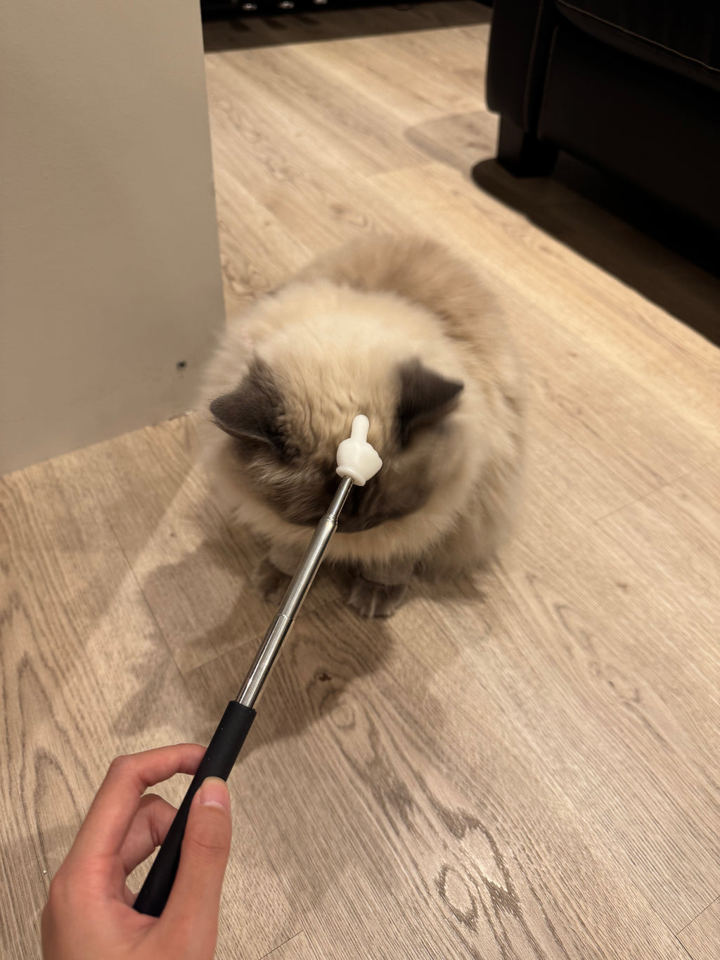 Retractable Teaching Pointer